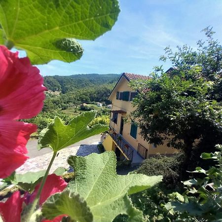 La Valle Fiorita Soviore Exteriér fotografie
