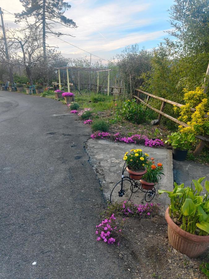 La Valle Fiorita Soviore Exteriér fotografie