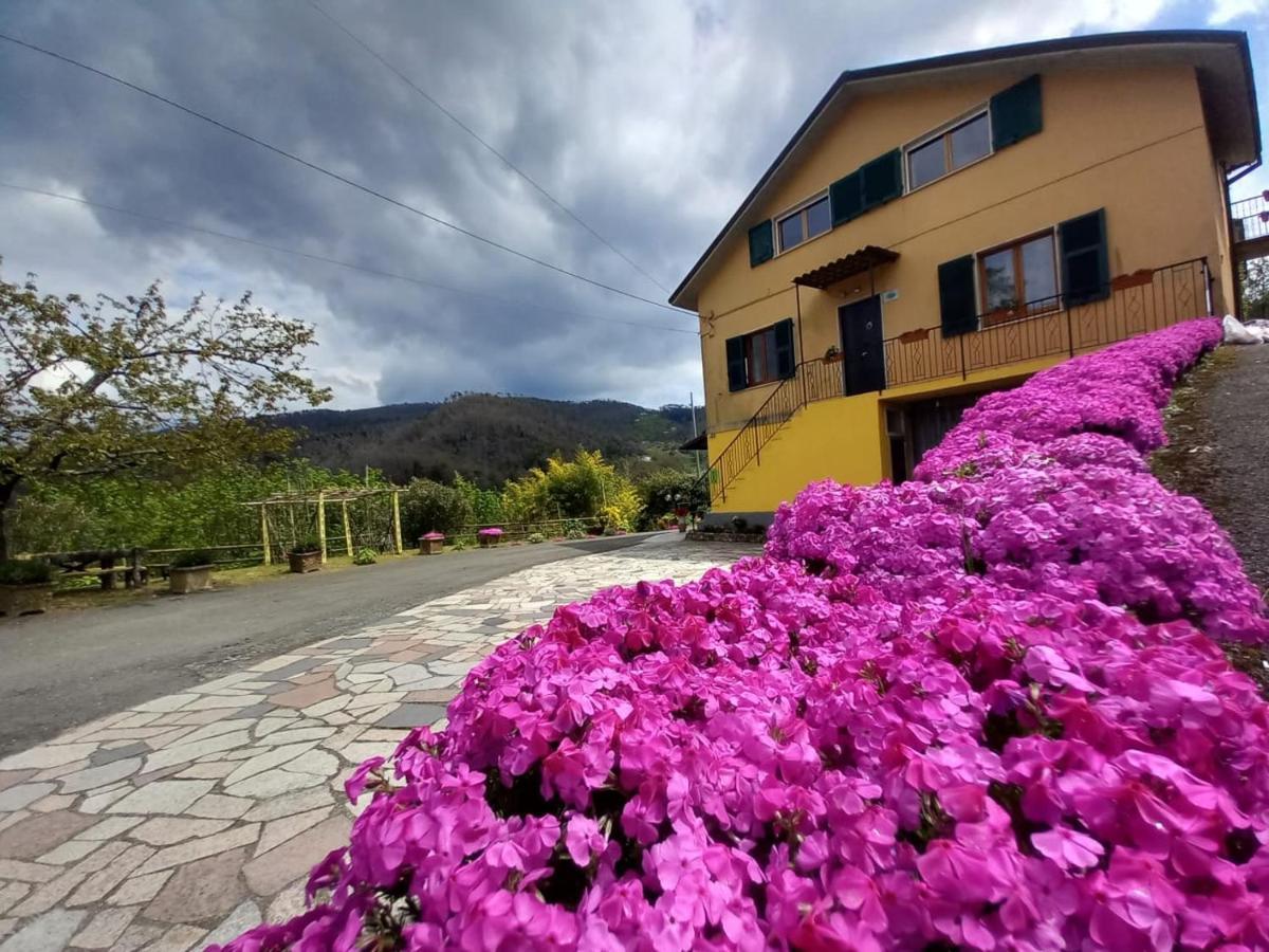 La Valle Fiorita Soviore Exteriér fotografie