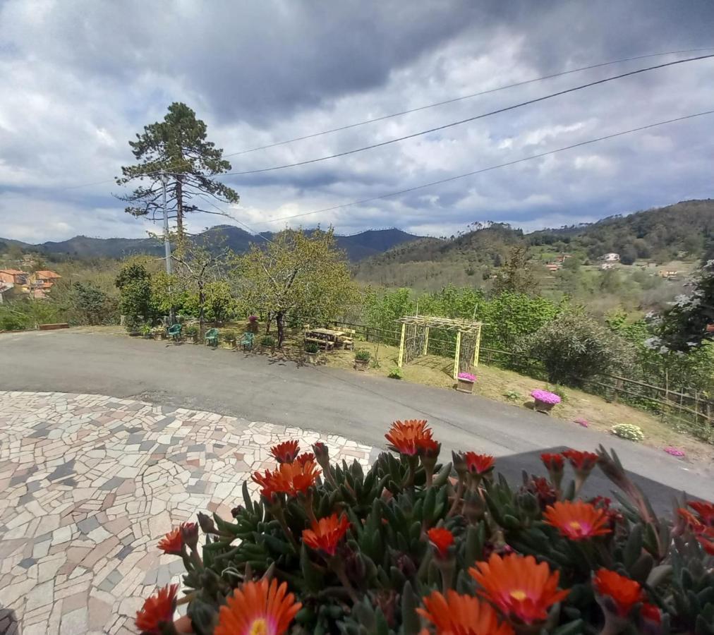 La Valle Fiorita Soviore Exteriér fotografie