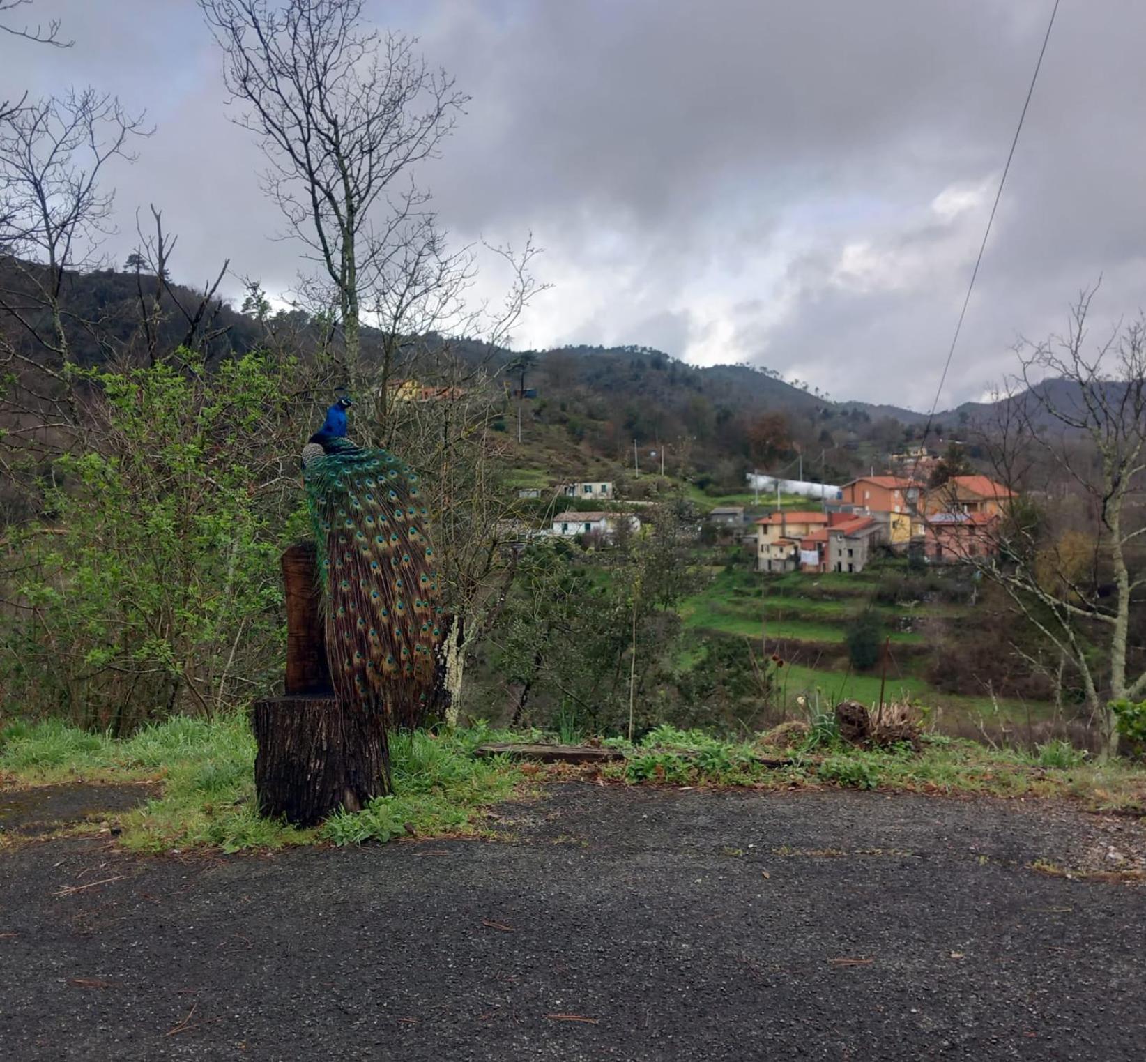 La Valle Fiorita Soviore Exteriér fotografie