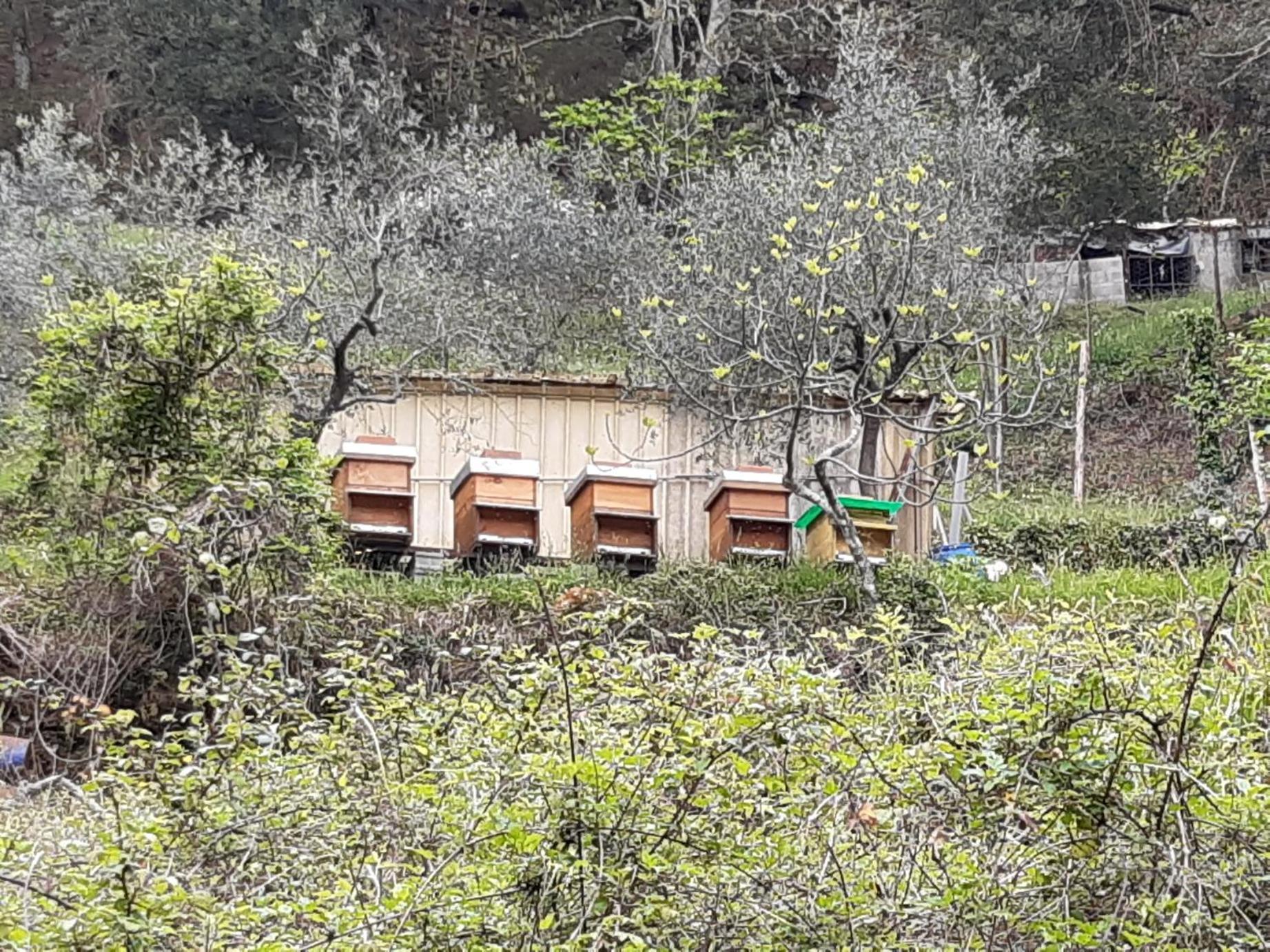 La Valle Fiorita Soviore Exteriér fotografie